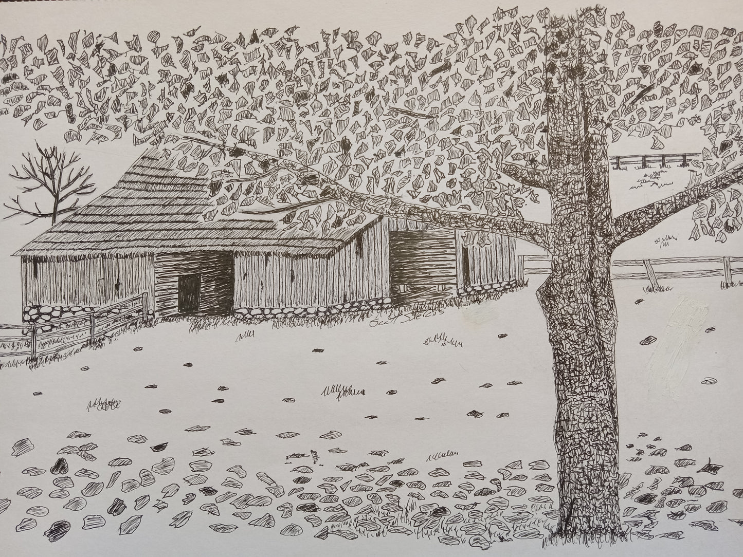 A pen and ink drawing of an old barn with trees and leaves in autumn.