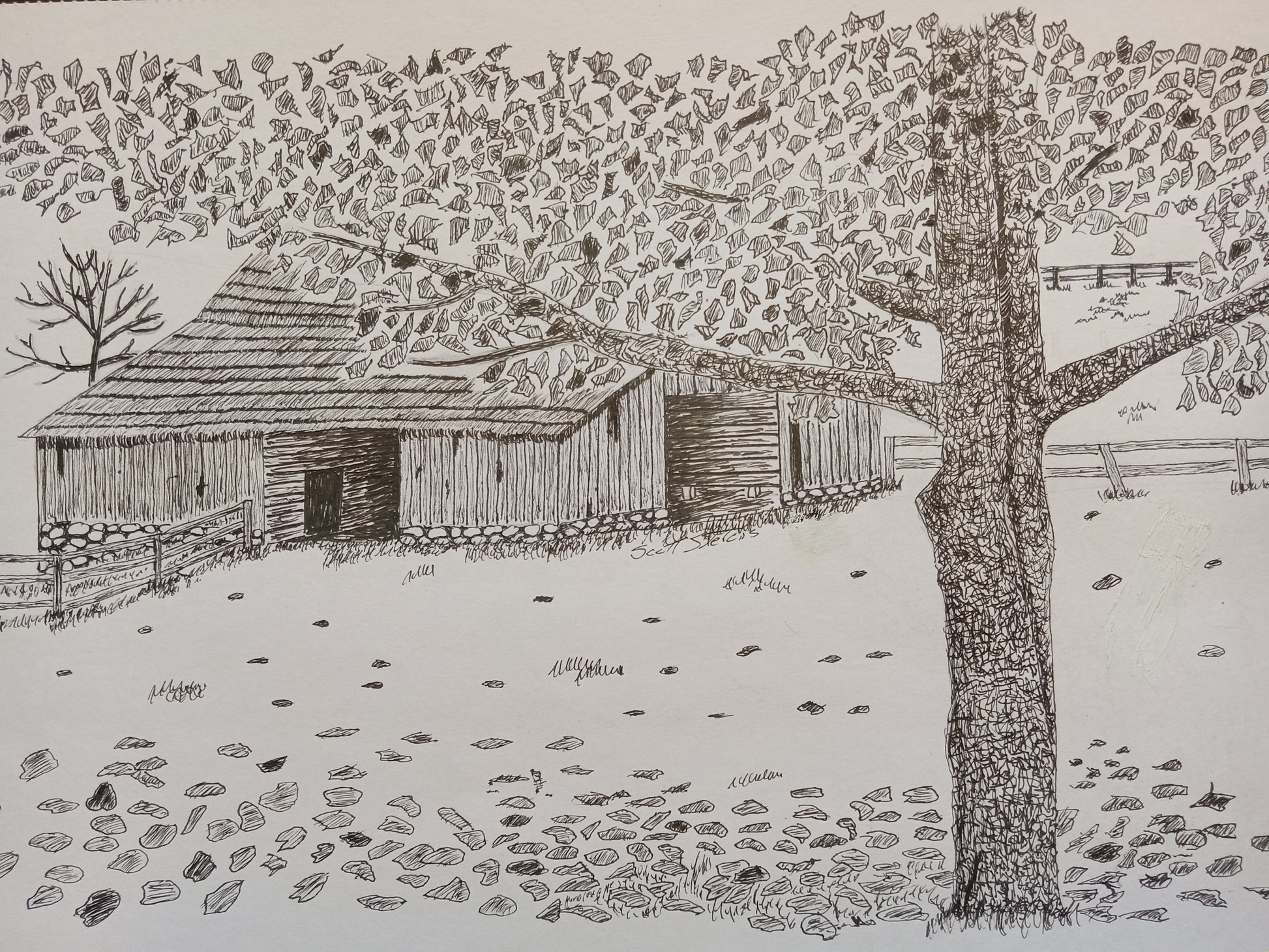A pen and ink drawing of an old barn with trees and leaves in autumn.