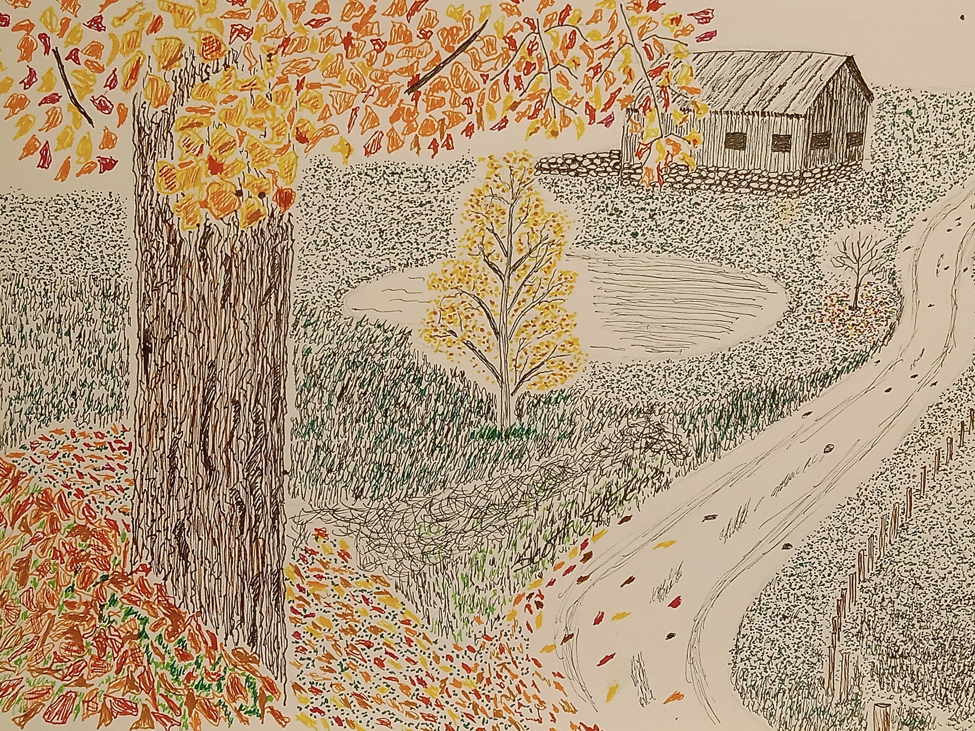 Original drawing of a barn with trees and a pond in the background, done in pen and ink on paper. Color added for a touch of Autumn.