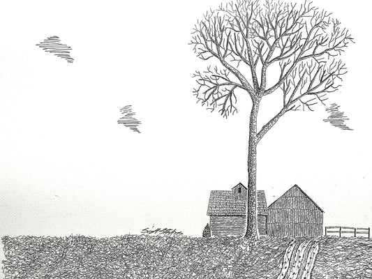Pen and ink drawing of an old barn and solitary tree.