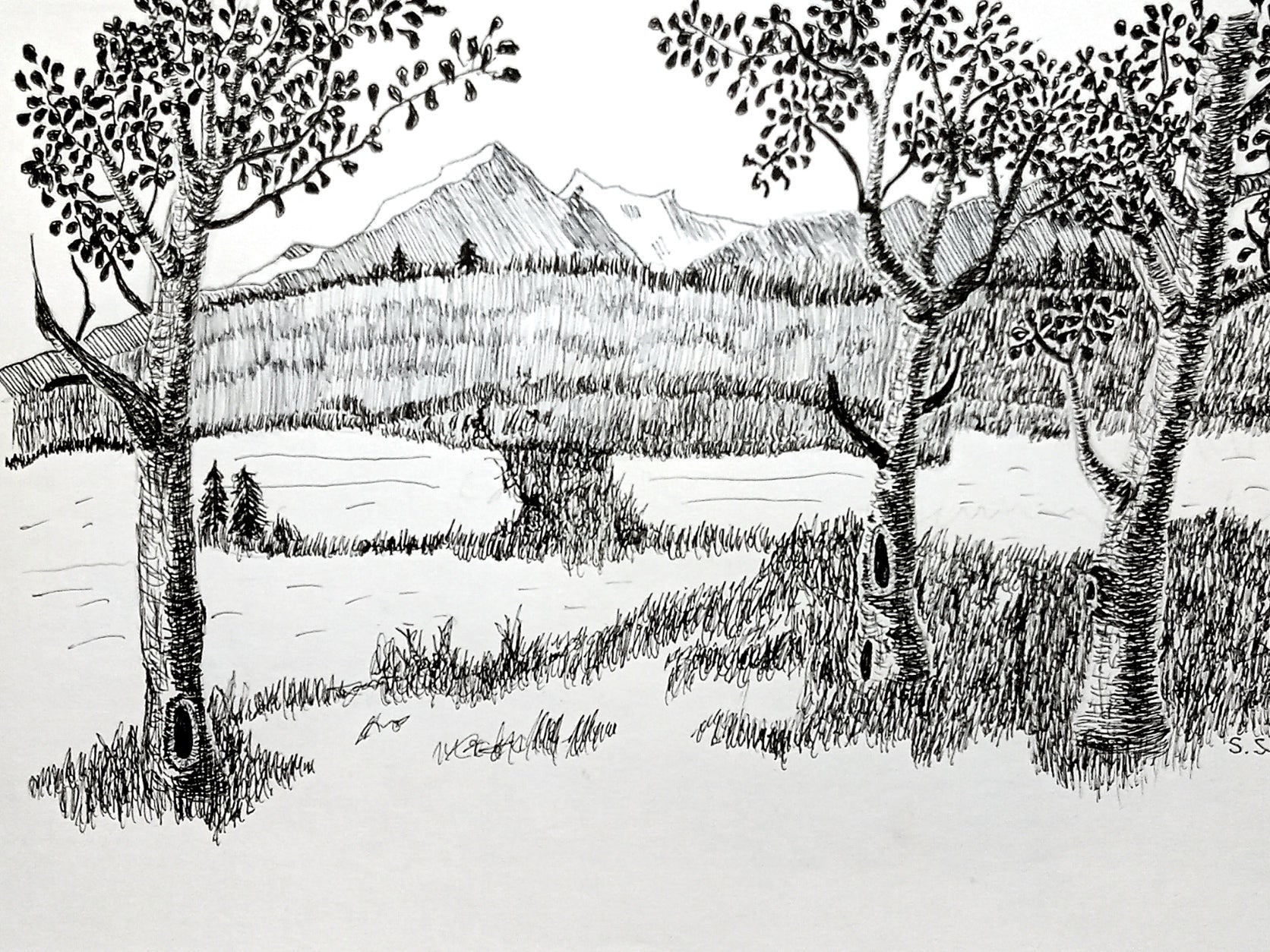 black and white line drawing of trees in the foreground ,a river , and a mountain range in the background
