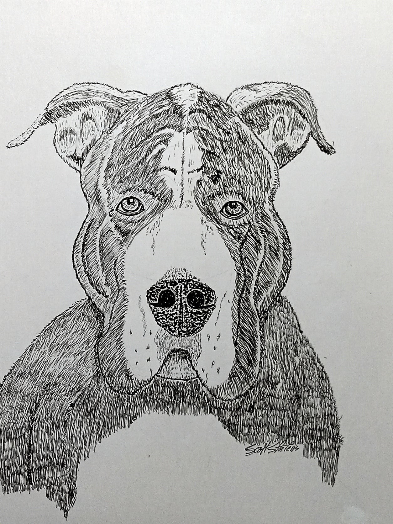 A pen and ink artwork of a dog's face, with realistic details and a monochrome color scheme.