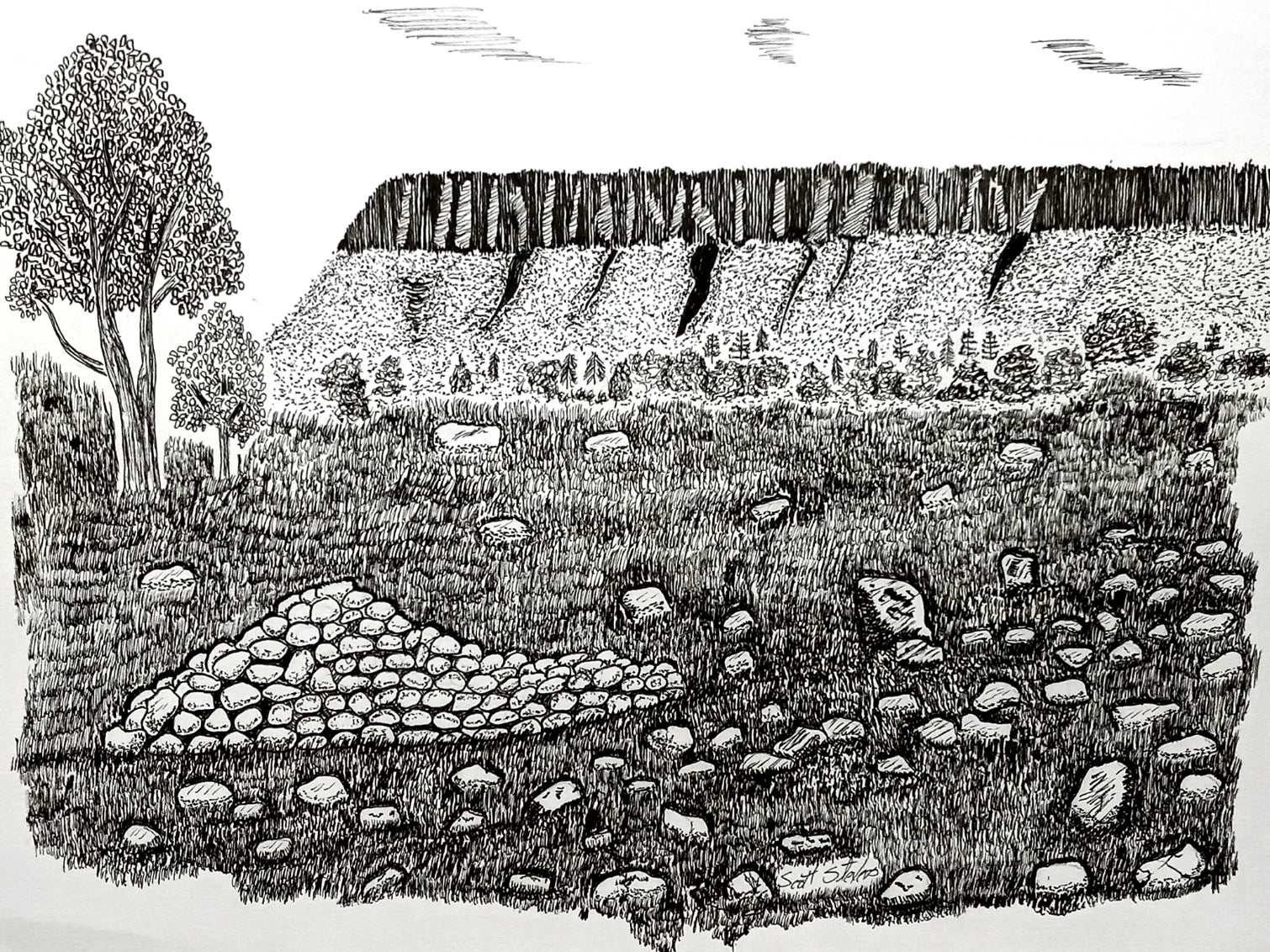 A pen and ink drawing of Ben Bulben mountain, featuring a landscape with the mountain's silhouette, trees, and a defined sky.