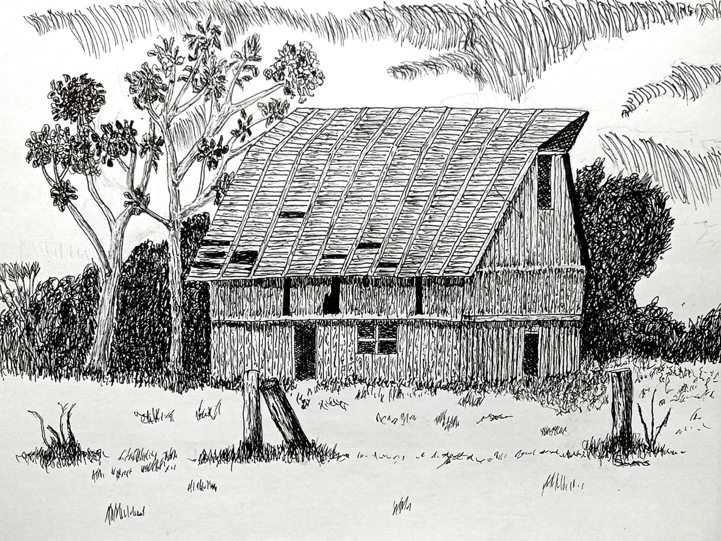 A pen and ink artwork of an old barn with trees and fence posts in the background, set on a cloudy day.