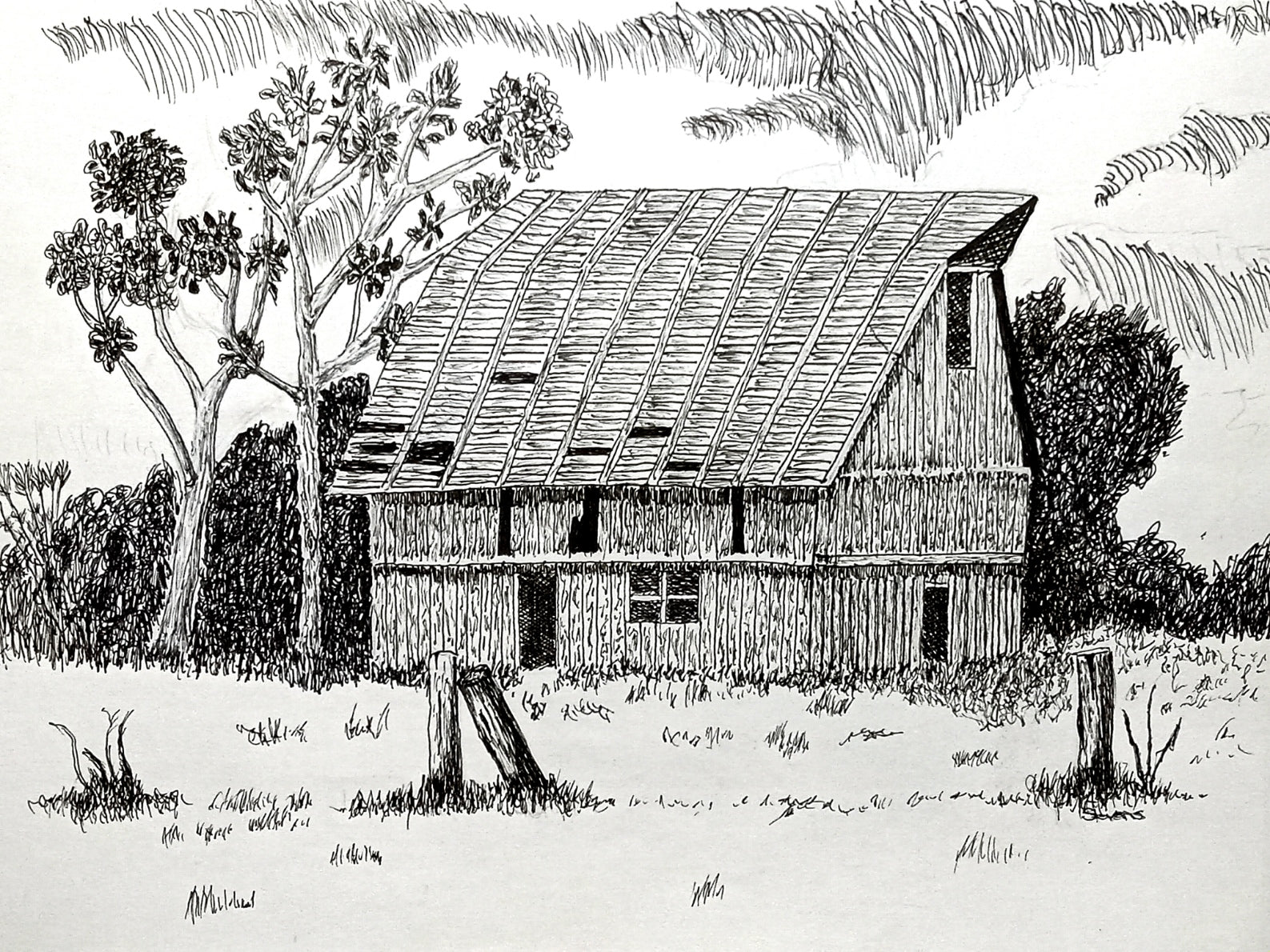 A pen and ink artwork of an old barn with trees and fence posts in the background, set on a cloudy day.