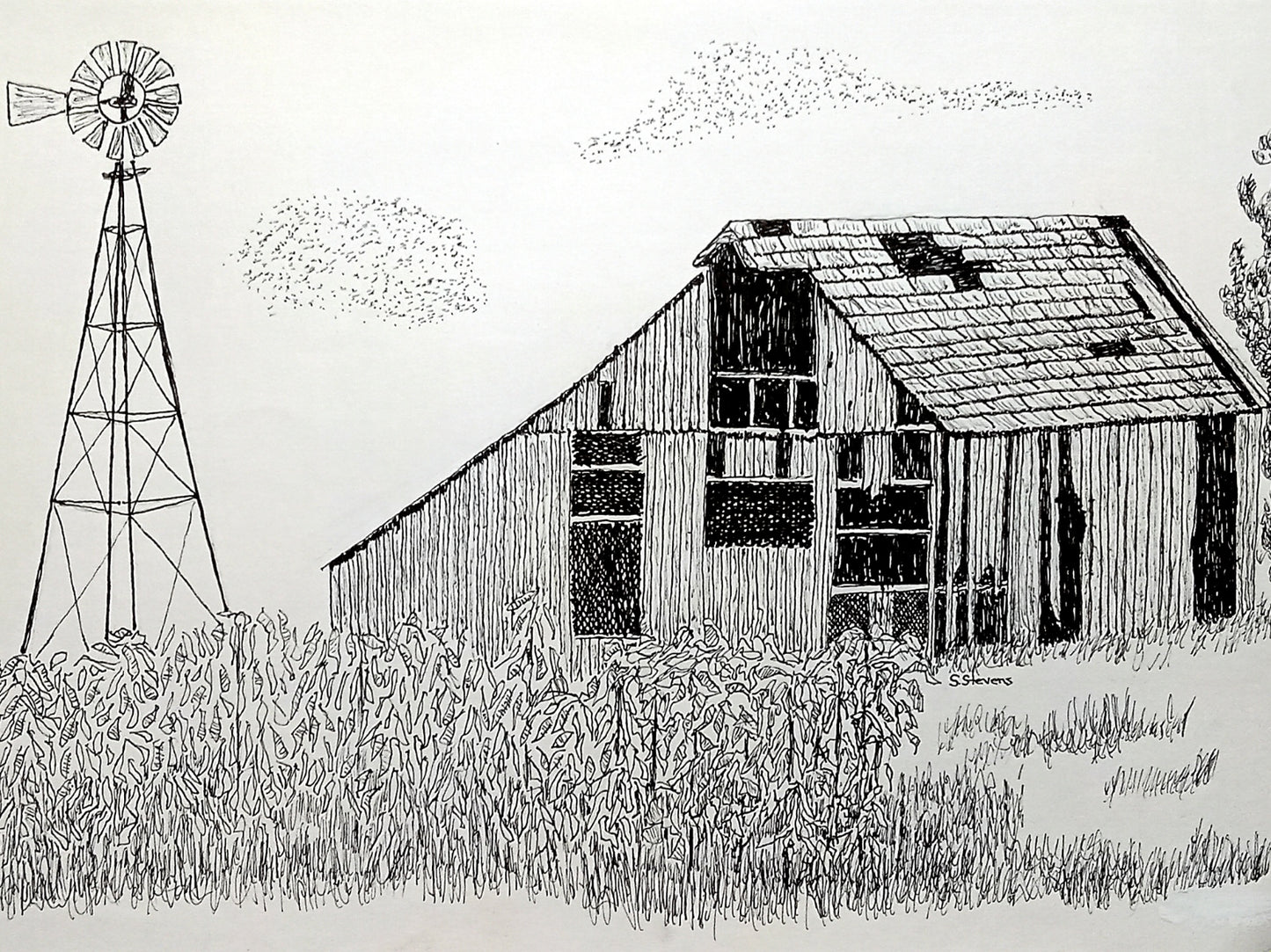 Pen and ink drawing of a old barn and windmill set in a cornfield.
