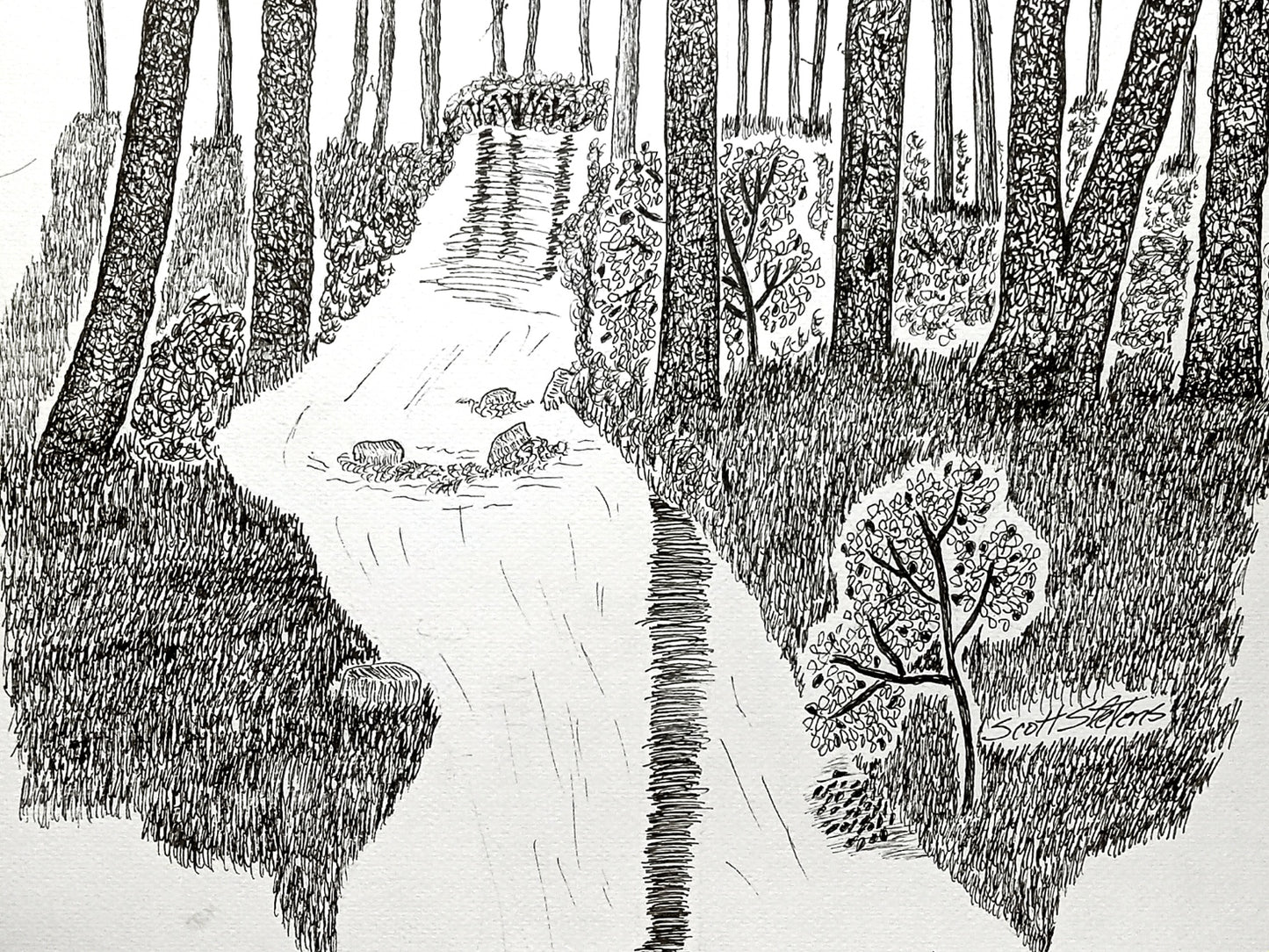 Original pen and ink drawing on 9x12 watercolor paper, depicting a forest scene with trees and a stream.