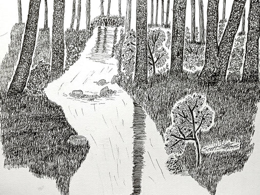 Original pen and ink drawing on 9x12 watercolor paper, depicting a forest scene with trees and a stream.