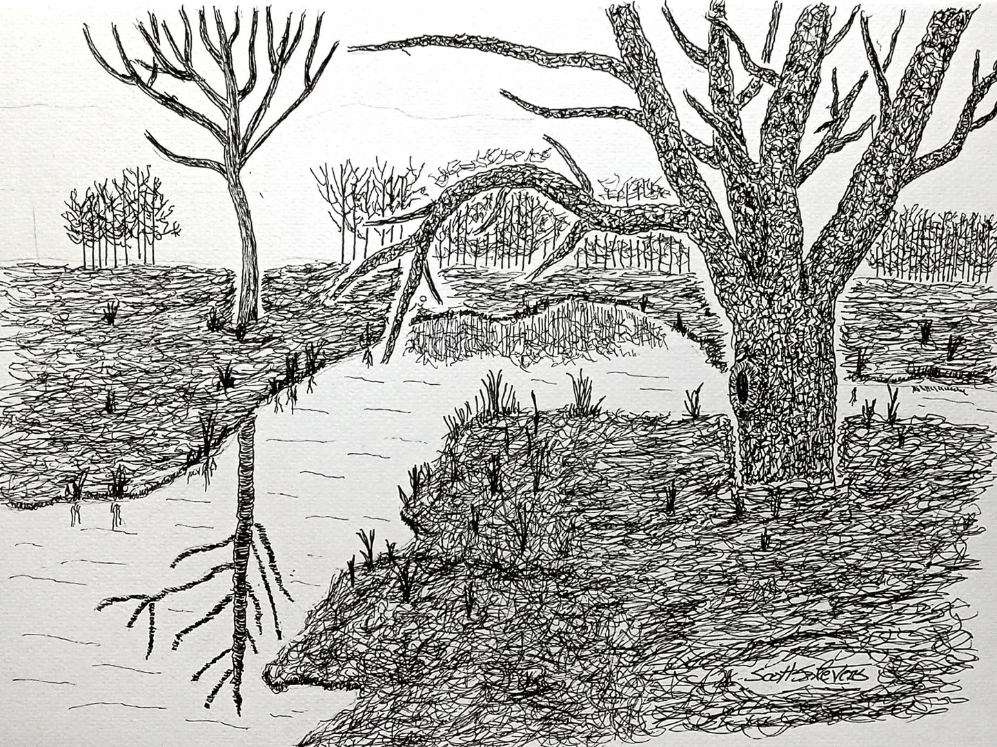 Original pen and ink drawing depicting a natural scene with trees and a stream.