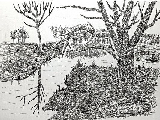 A pen and ink drawing of a tree reflected in a stream with additional trees in the background.