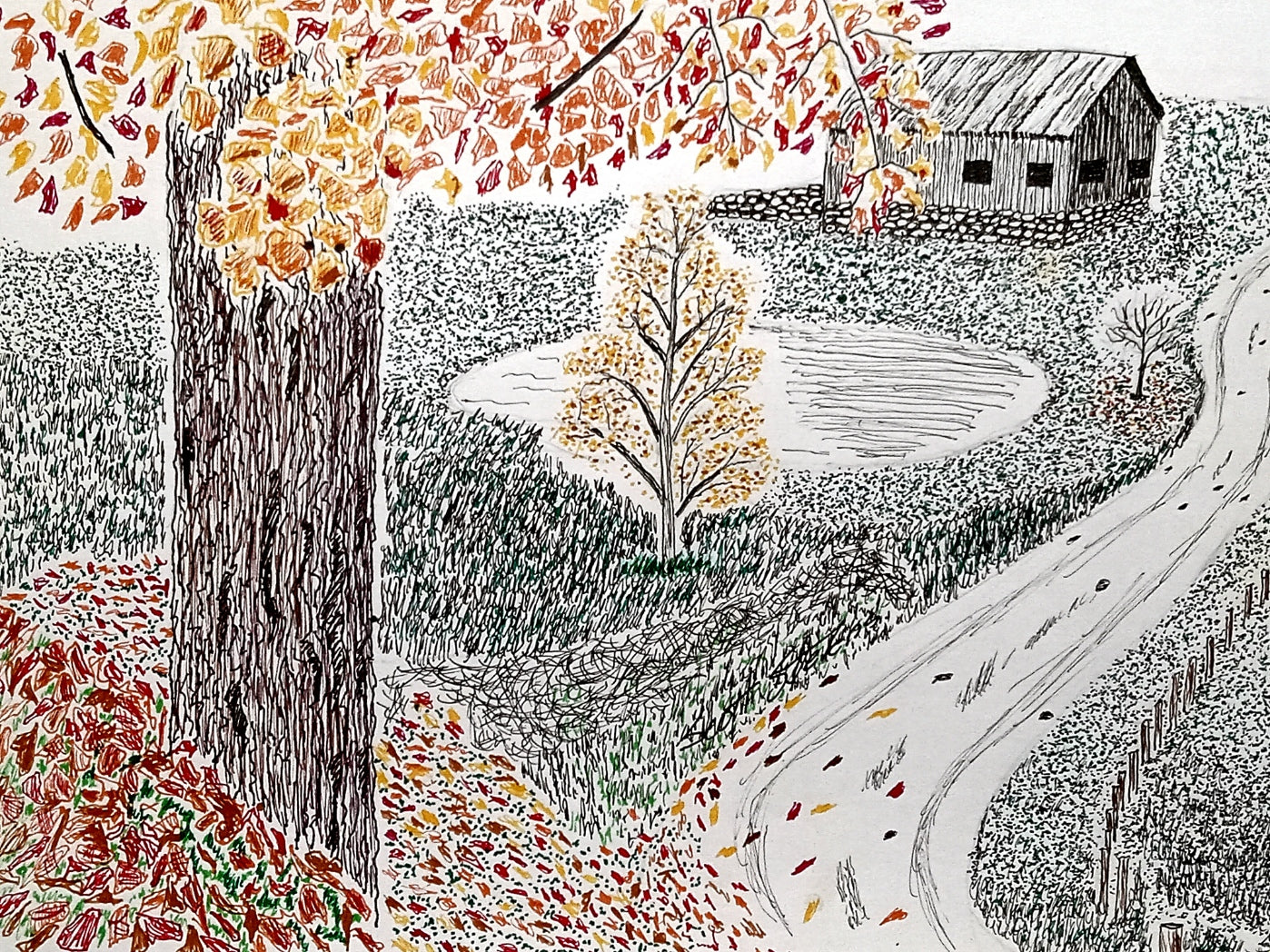 Pen and ink print of a tree adorned in fall colors, a small pond next to a winding road and an old barn.