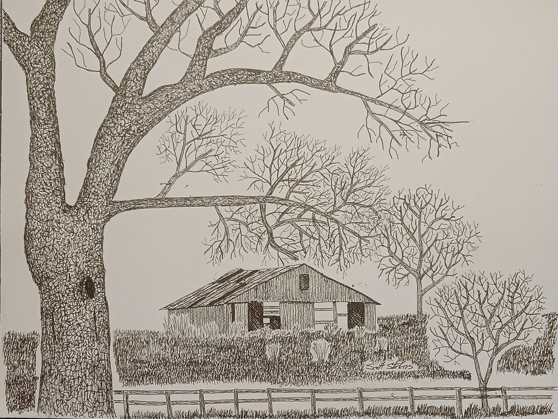 Original pen and ink drawing of a large tree in the foreground with an old barn in the background, set against a grassy plain, unframed.