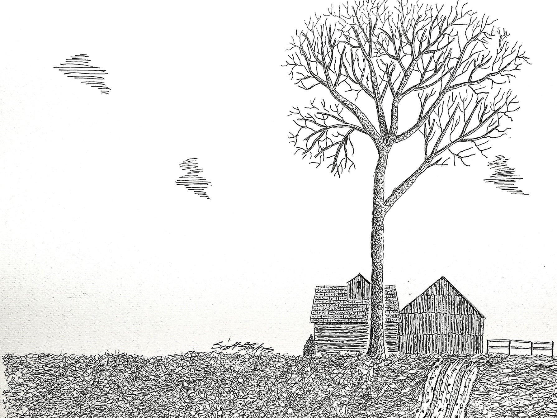 A pen and ink drawing of a solitary tree with old barns in the background.