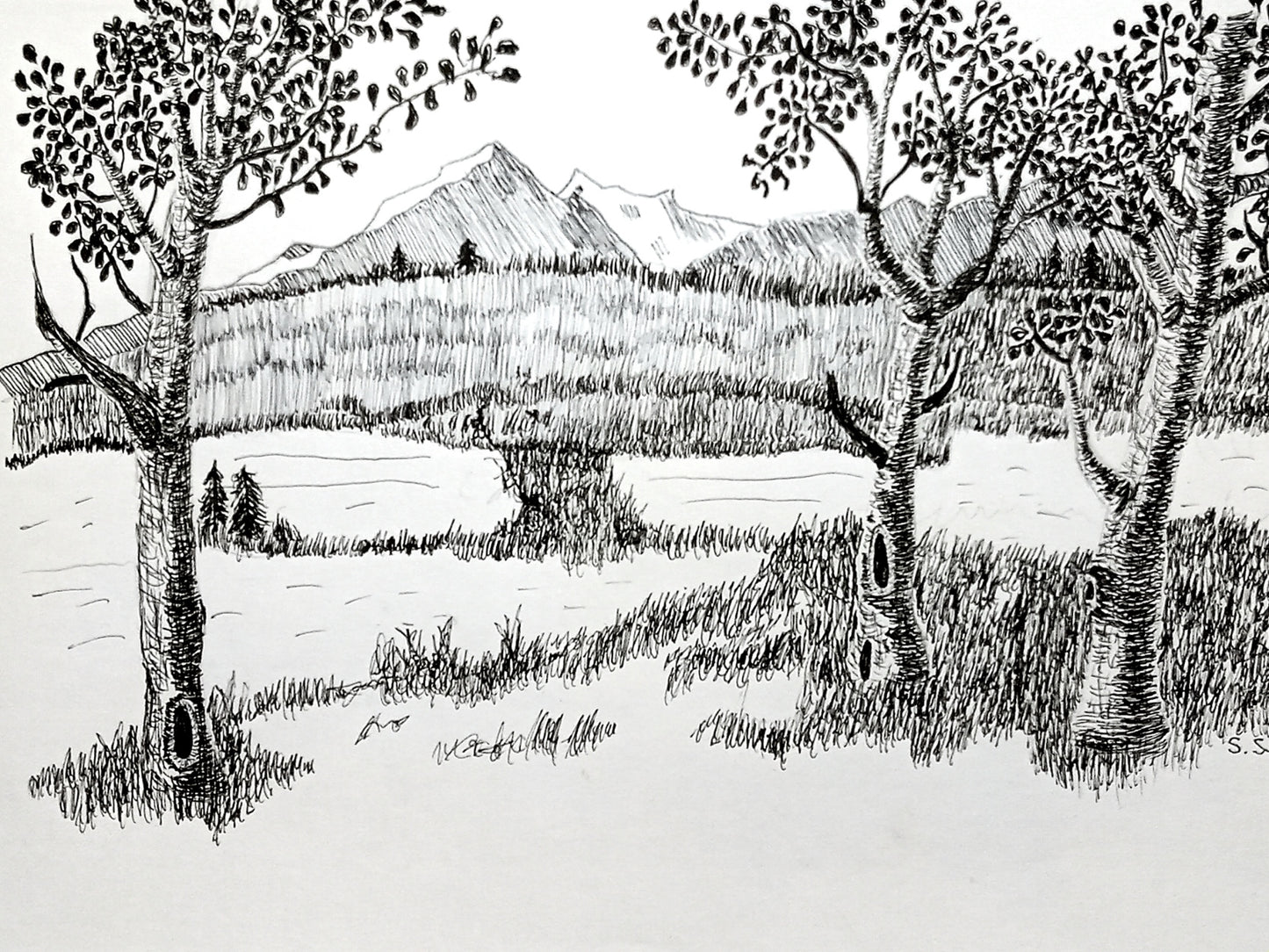 A pen and ink artwork depicting a landscape with trees, a stream, and a mountain range in the background.
