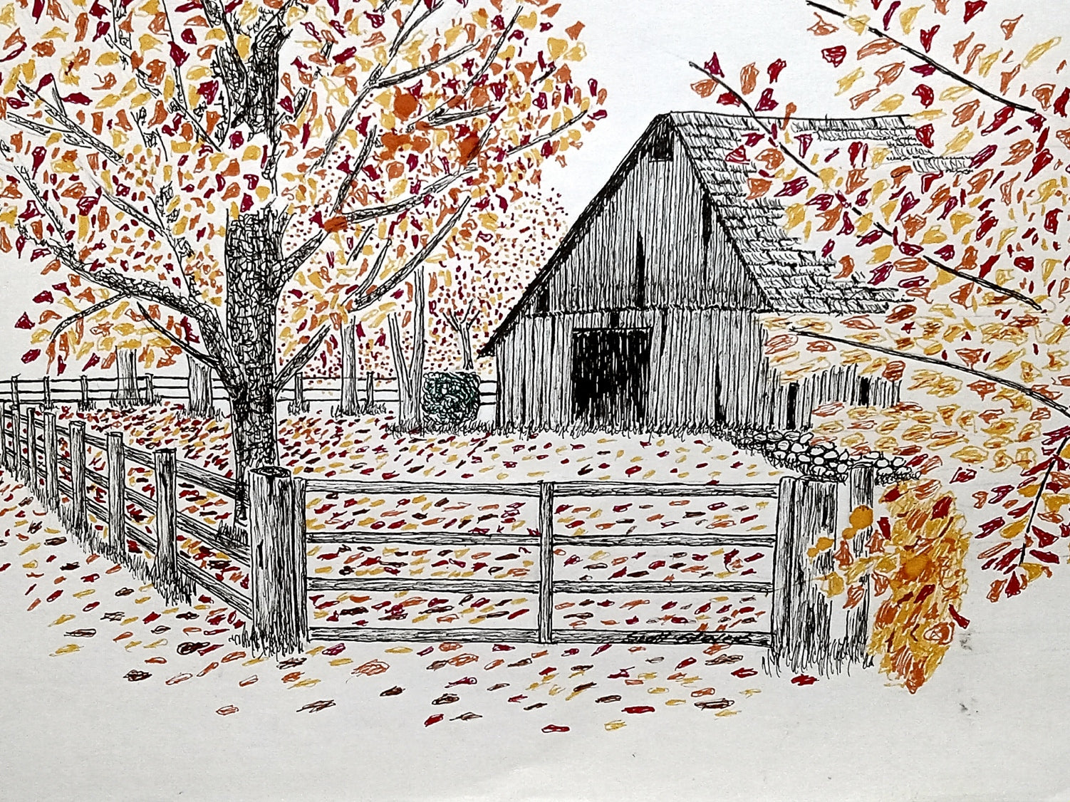 A pen and ink artwork depicting an old barn with surrounding trees in autumn, covered in colorful leaves.