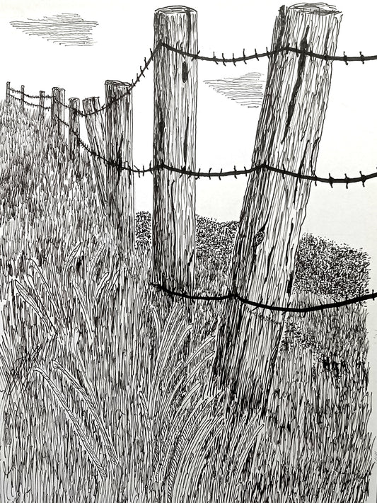 A pen and ink drawing of a barbed wire fence with wooden posts set in an overgrown field.