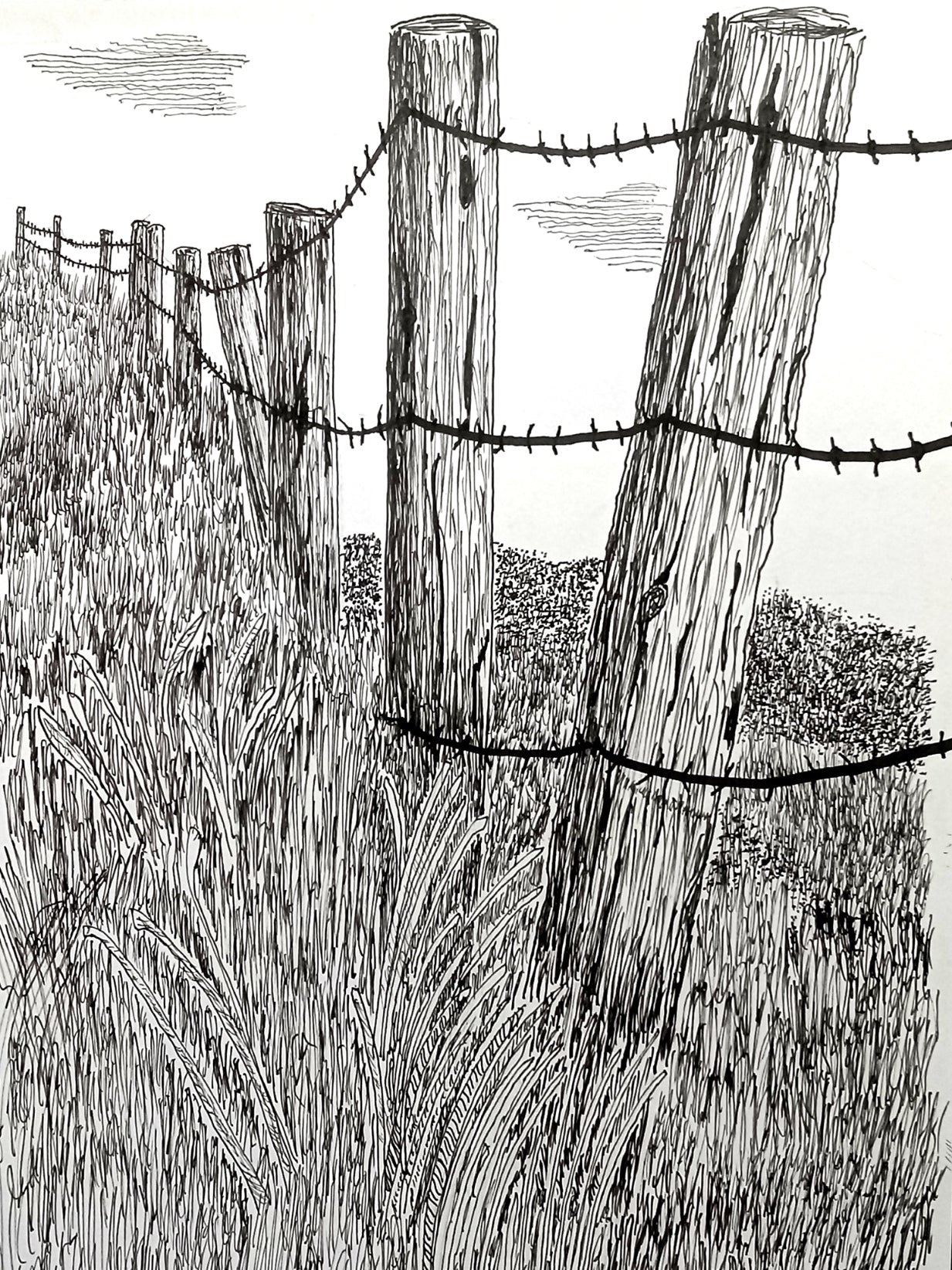 Black and white illustration of a barbed wire fence with wooden posts.