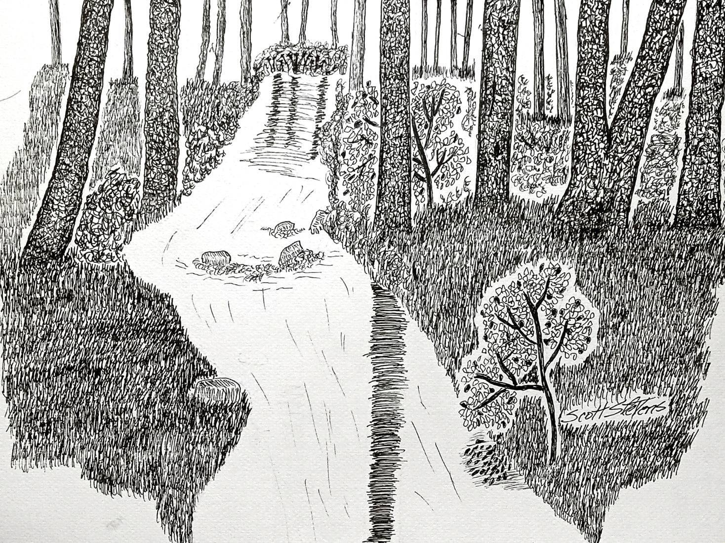 A pen and ink drawing of a peaceful stream with trees and foliage in a wooded area.