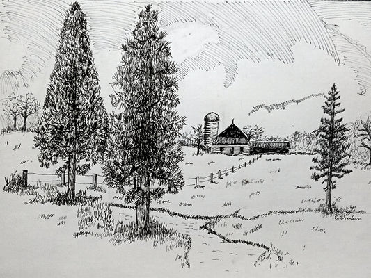 A pen and ink artwork depicting two pine trees next to a stream with a barn and silo in the background.
