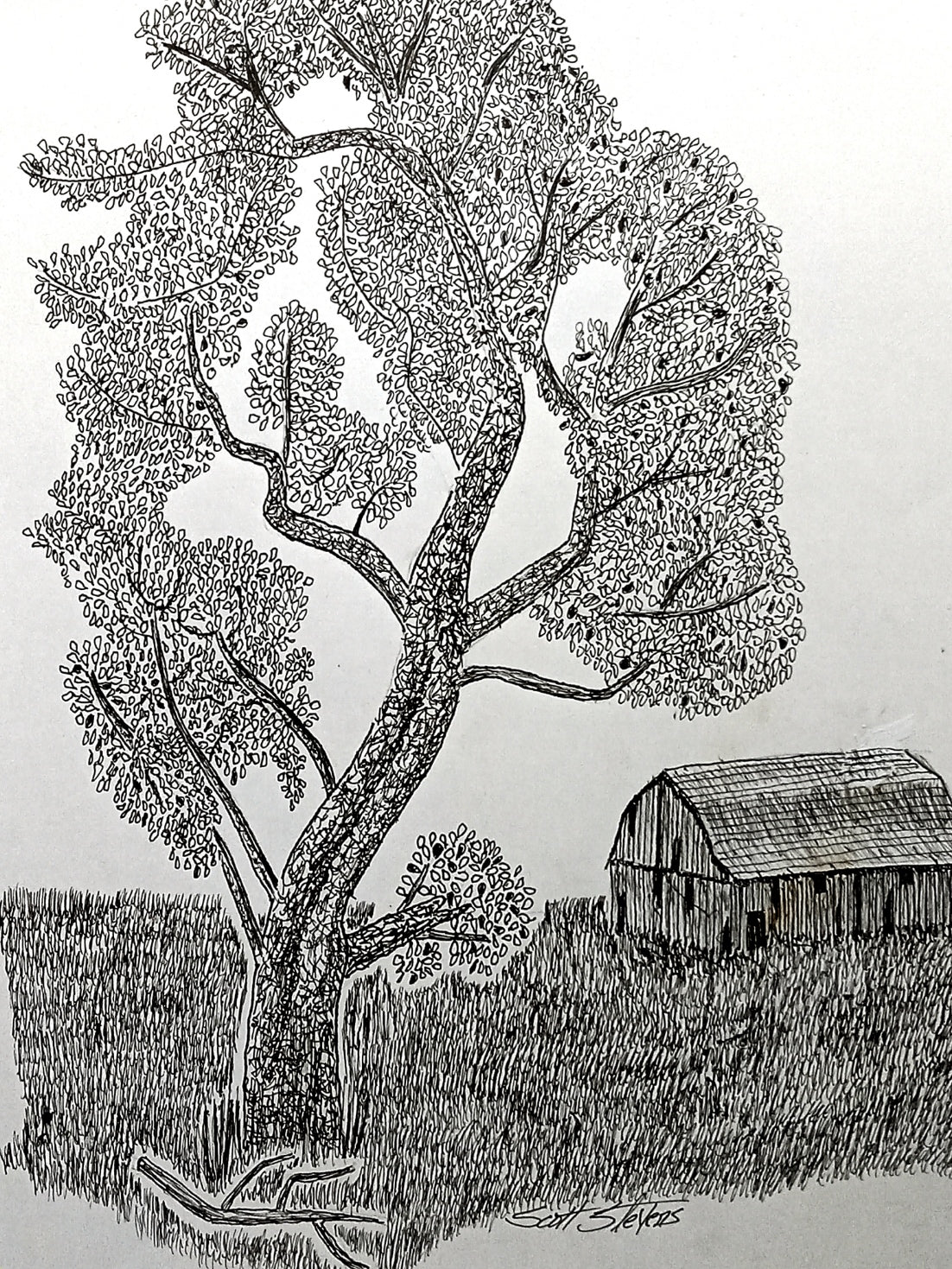 Black and white illustration of a tree and a barn in a field